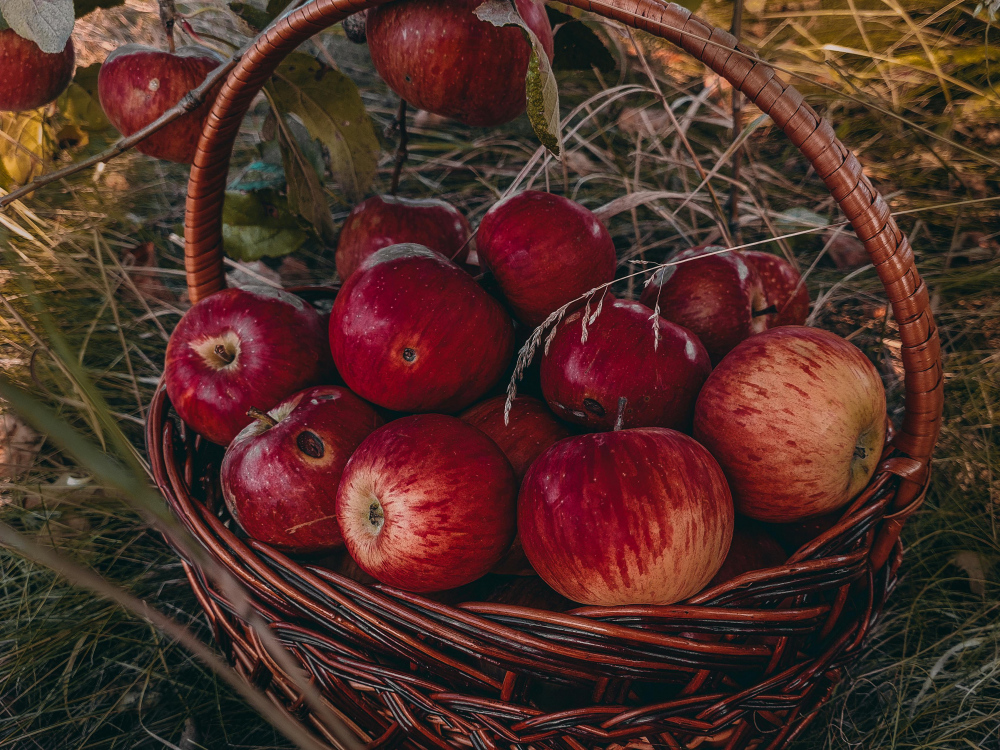 Осінні поробки з яблук – 11 виробів з яблук своїми руками